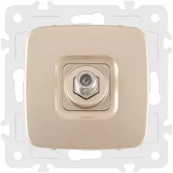 ТВ-розетка Arte Milano am-205 205.42-1.shampan