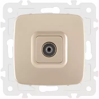 ТВ-розетка Arte Milano am-205 205.43-1.shampan