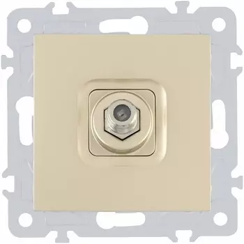 ТВ-розетка Arte Milano am-206 206.42-1.shampan