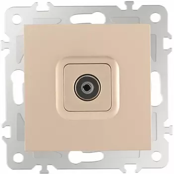 ТВ-розетка Arte Milano am-206 206.43-1.shampan