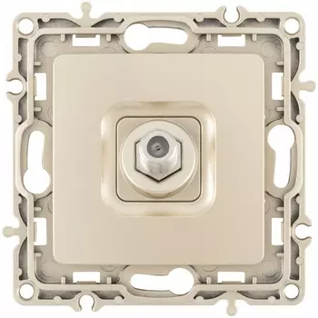 ТВ-розетка Arte Milano am-217 217.42-1.shampan