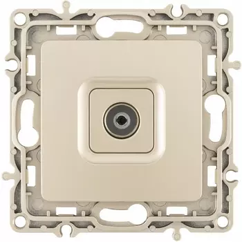 ТВ-розетка Arte Milano am-217 217.43-1.shampan