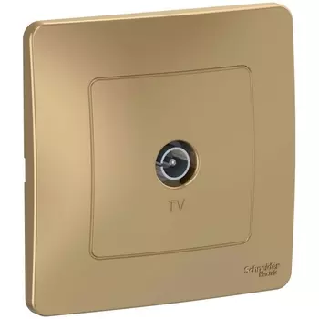 ТВ-розетка оконечная (титан) Systeme Electric Blanca BLNTS000014