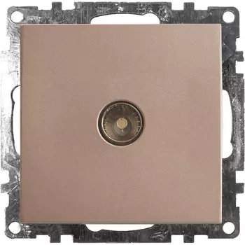 ТВ-розетка (шампань) Stekker Катрин 39600