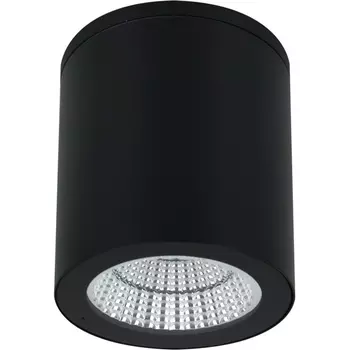 Уличные потолочные светильник IP65 светодиодный Arte Lamp Torcular A1813PF-1BK