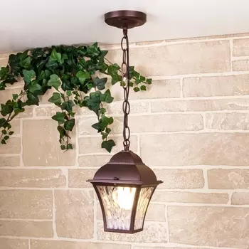 Уличный подвесной светильник 1009H Elektrostandard Apus GL a043114