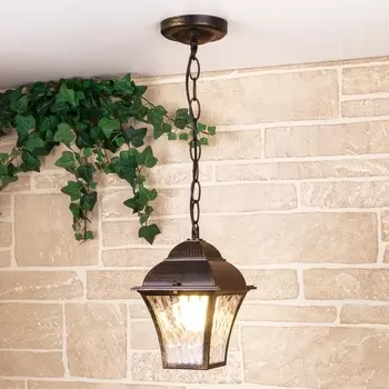 Уличный подвесной светильник IP33 1009H Elektrostandard Apus GL a043115