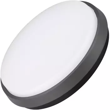 Уличный потолочный светильник светодиодный защищенный LGD-GIRO-R240-25W Warm3000 (GR, 110 deg, 230V) (Arlight, IP54 Металл, 3 года) 029949