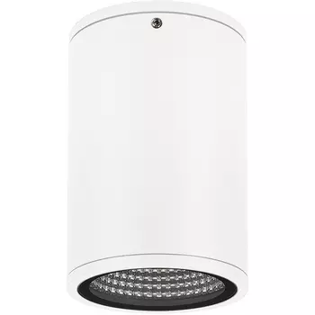 Уличный потолочный светильник светодиодный защищенный LGD-FORMA-SURFACE-R90-12W Day4000 (WH, 44 deg, 230V) (Arlight, IP54 Металл, 3 года) 037259