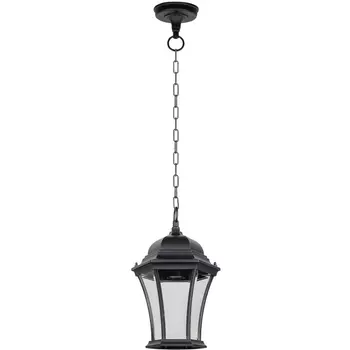 Уличный светильник подвесной Bl Oasis Light ASTORIA 1 L 91305L