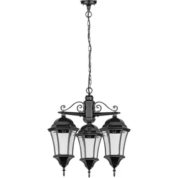 Уличный светильник подвесной Oasis Light ASTORIA 1 L 91370L/3 cover Bl