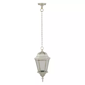 Уличный светильник подвесной IP44 Oasis Light ASTORIA 2 91405L cover Gw