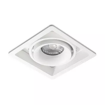 Встраиваемый светильник White/White RAUMBERG Fashion Fashion1WhWh Raumberg