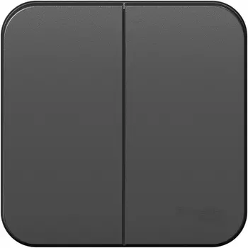 Выключатель двухклавишный (антрацит) Systeme Electric Blanca BLNVA105006