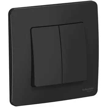 Выключатель двухклавишный (антрацит) Systeme Electric Blanca BLNVS010506
