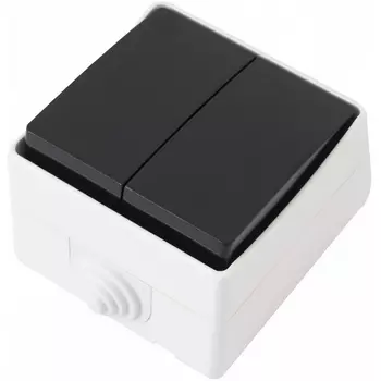 Выключатель двухклавишный Arte Milano am-309 309.30-2.grey