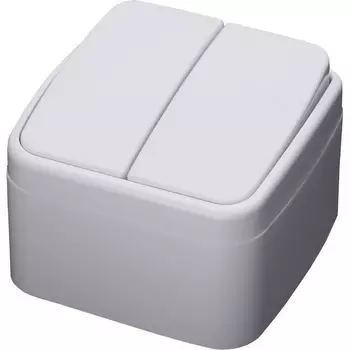 Выключатель двухклавишный (белый) Stekker Basic 39032