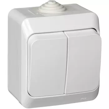 Выключатель двухклавишный (белый) Systeme Electric BA10-042B