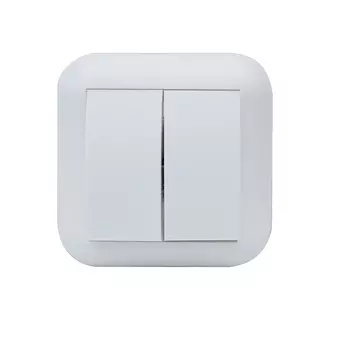 Выключатель двухклавишный Duwi BASIS 26463 7