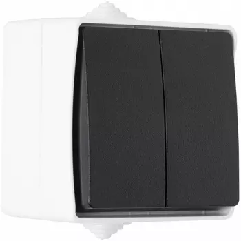 Выключатель двухклавишный проходной Arte Milano am-309 309.32-2.grey