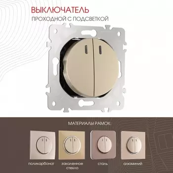 Выключатель двухклавишный проходной с подсветкой Arte Milano am-202 202.33-2.shampan