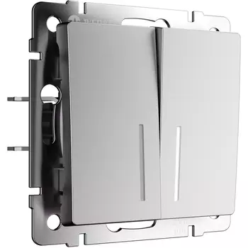 Выключатель двухклавишный проходной с подсветкой (серебряный матовый) Werkel W1122165 (a063616)