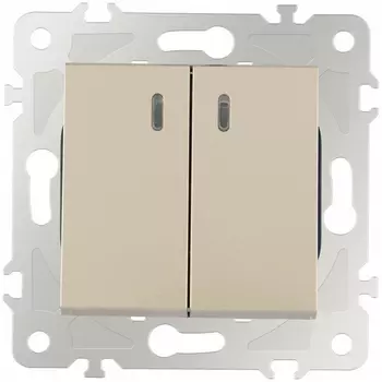 Выключатель двухклавишный с подсветкой Arte Milano am-203 203.31-2.shampan
