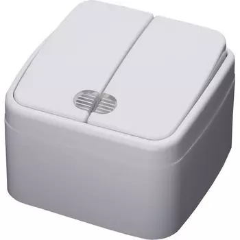 Выключатель двухклавишный с подсветкой (белый) Stekker Basic 39030