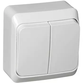 Выключатель двухклавишный с подсветкой (белый) Systeme Electric BA10-006B