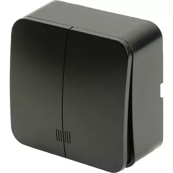 Выключатель двухклавишный с подсветкой (черный матовый) Stekker София 49477