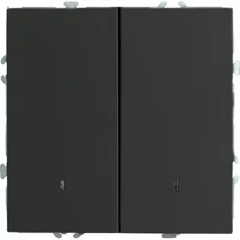 Выключатель двухклавишный с подсветкой (черный) Stekker Эмили 49838