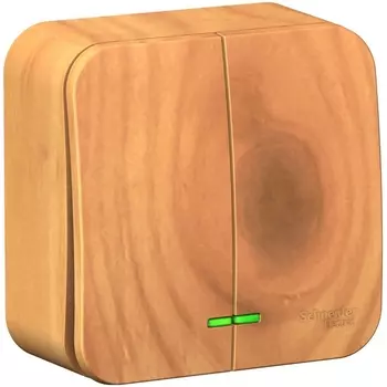 Выключатель двухклавишный с подсветкой (ясень) Systeme Electric Blanca BLNVA105105