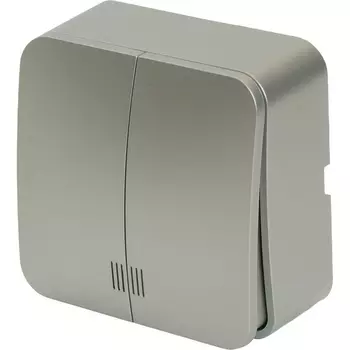 Выключатель двухклавишный с подсветкой (серебро) Stekker София 49298
