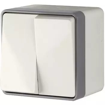 Выключатель двухклавишный (слоновая кость) Werkel WL15-03-02 (a036777)