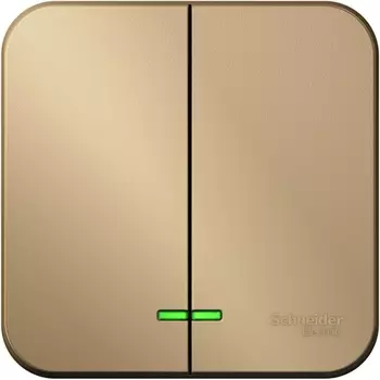 Выключатель двухклавишный (титан) Systeme Electric Blanca BLNVA105004