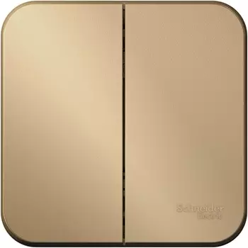 Выключатель двухклавишный (титан) Systeme Electric Blanca BLNVA105014