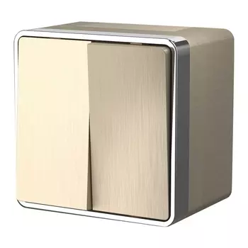 Выключатель двухклавишный влагозащищенный Gallant (шампань рифленый) Werkel W5020210 (a051045)