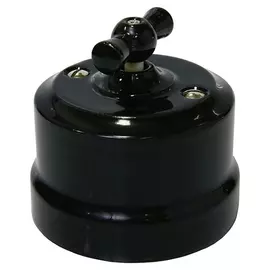 Выключатель одинарный проходной цвет черный 34015 (Lindas)