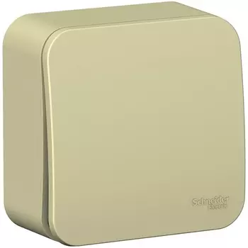 Выключатель одноклавишный (бежевый) Systeme Electric Blanca BLNVA106017