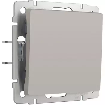 Выключатель одноклавишный проходной (дымчатый) Werkel W1212004