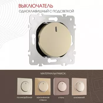 Выключатель одноклавишный с подсветкой Arte Milano am-202 202.31-1.shampan