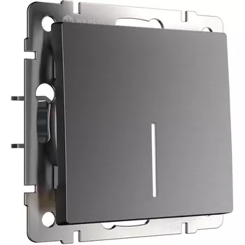 Выключатель одноклавишный с подсветкой (графит матовый) Werkel W1110164 (a063096)