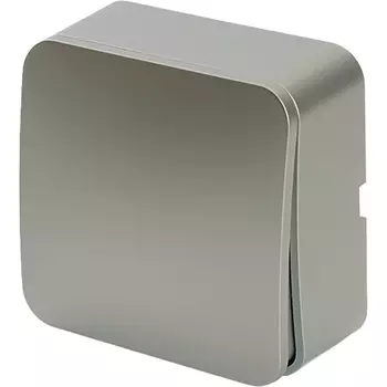 Выключатель одноклавишный (серебро) Stekker София 49295