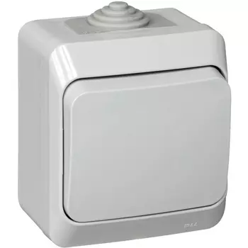 Выключатель одноклавишный (серый) Systeme Electric BA10-041C