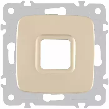 Вывод кабеля Arte Milano am-205 205.49-1.shampan