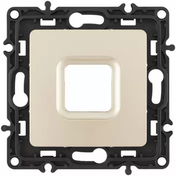 Вывод кабеля Arte Milano am-217 217.49-1.shampan