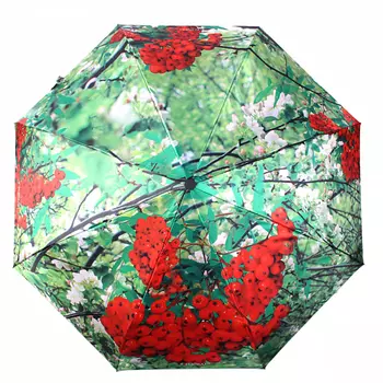 зонт женский автомат flioraj