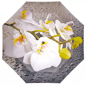 зонт женский автомат flioraj