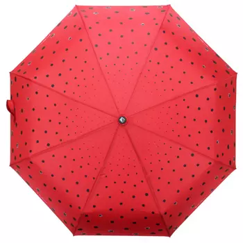 зонт женский автомат flioraj