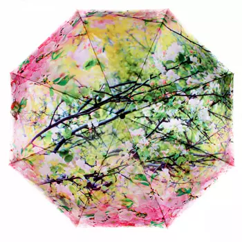 зонт женский автомат flioraj